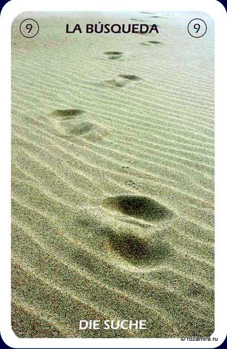 Individuum Universal Tarot